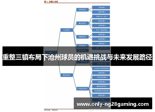 重整三镇布局下沧州球员的机遇挑战与未来发展路径