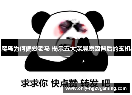 魔鸟为何偏爱老马 揭示五大深层原因背后的玄机