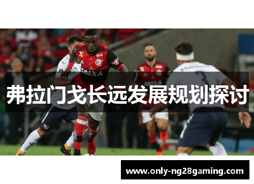 弗拉门戈长远发展规划探讨