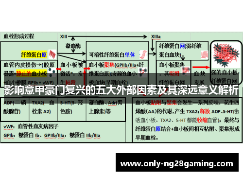 影响意甲豪门复兴的五大外部因素及其深远意义解析 影响意甲豪门复兴的五大外部因素及其深远意义解析